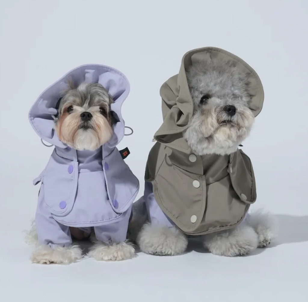 螢幕擷取畫面 2025-12-03 133354