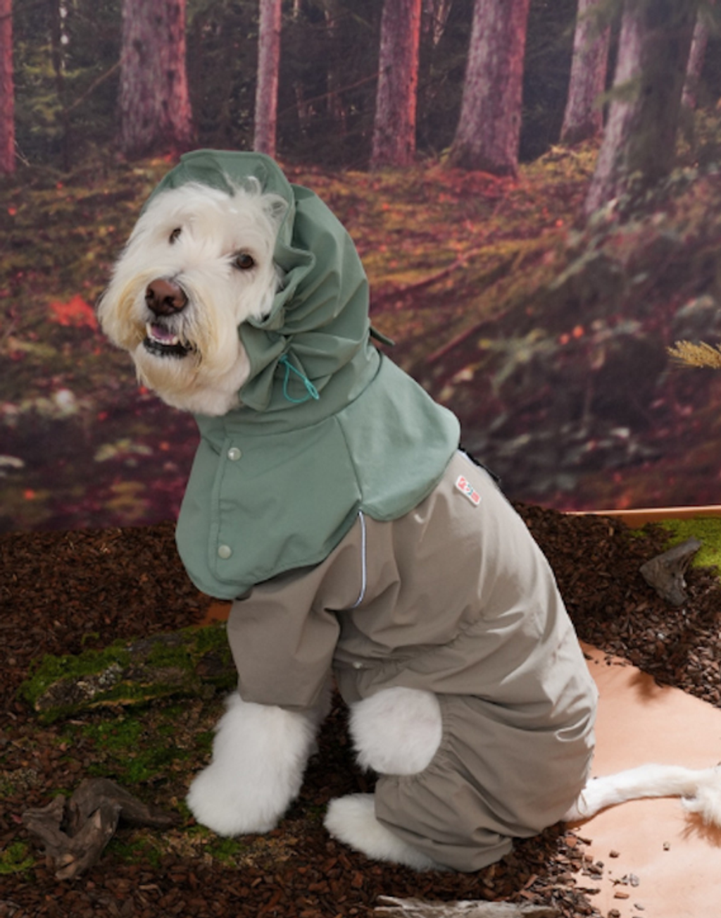 螢幕擷取畫面 2025-12-03 141118