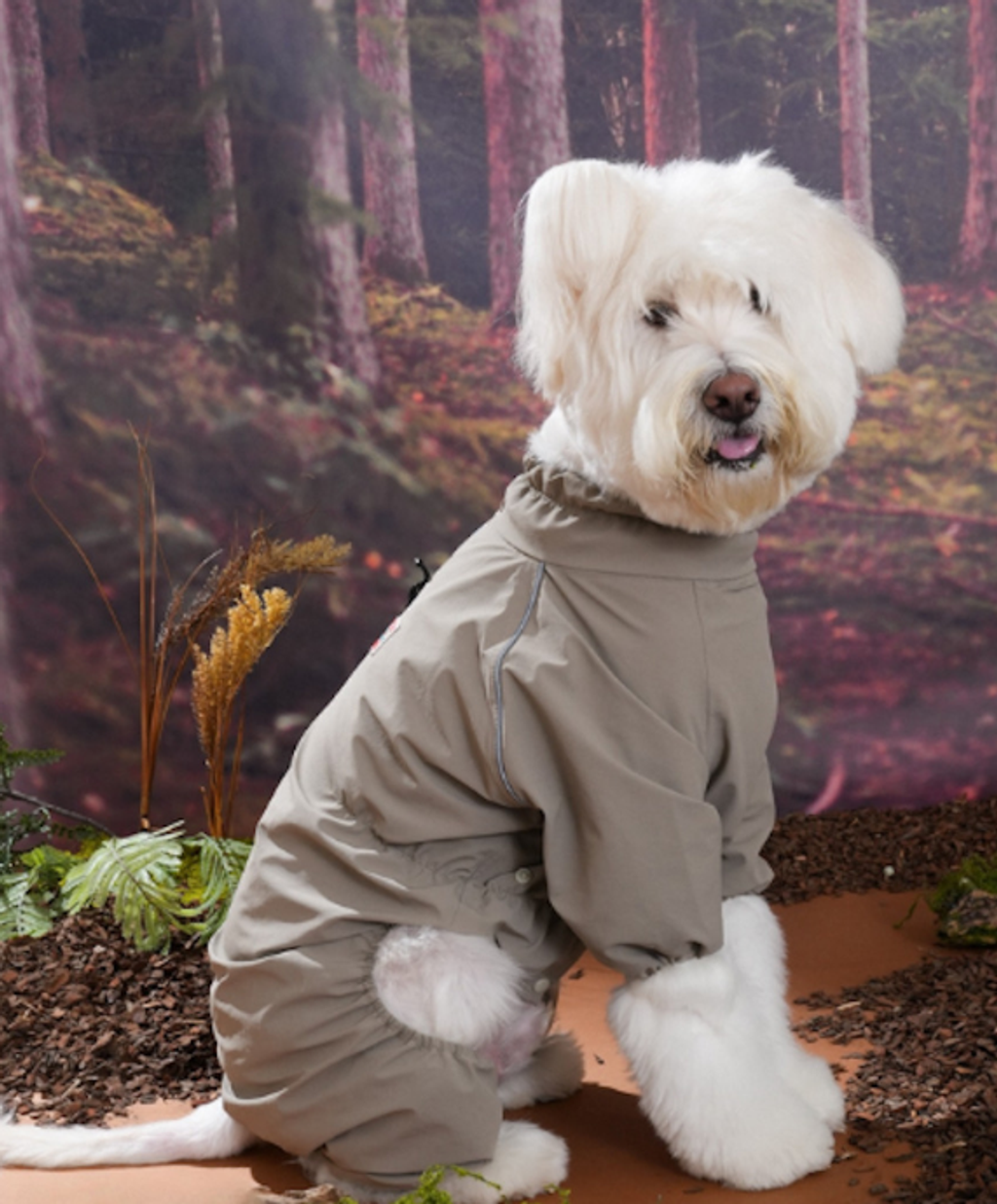 螢幕擷取畫面 2025-12-03 141101