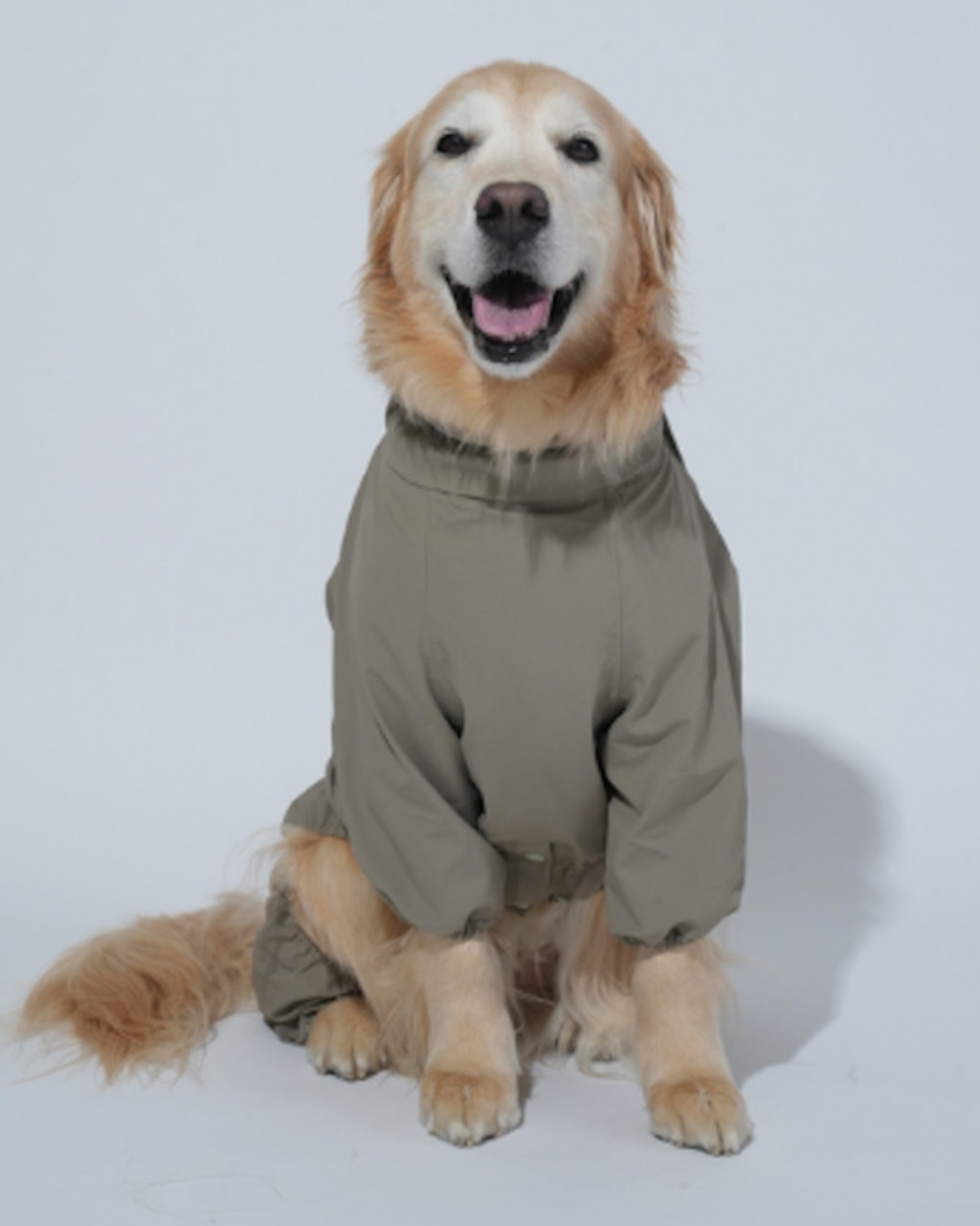 螢幕擷取畫面 2025-12-03 141037