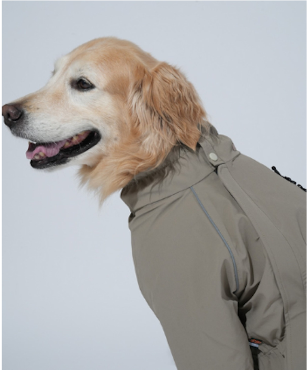 螢幕擷取畫面 2025-12-03 141029