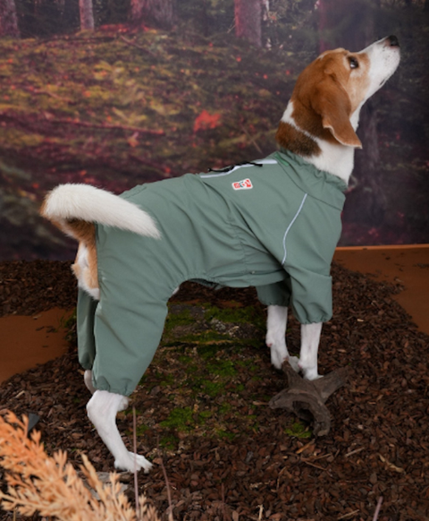 螢幕擷取畫面 2025-12-03 141020