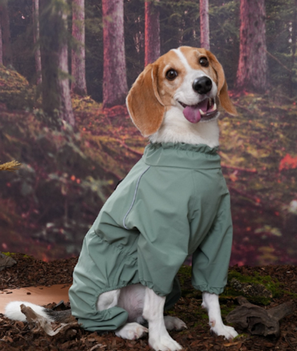 螢幕擷取畫面 2025-12-03 141014