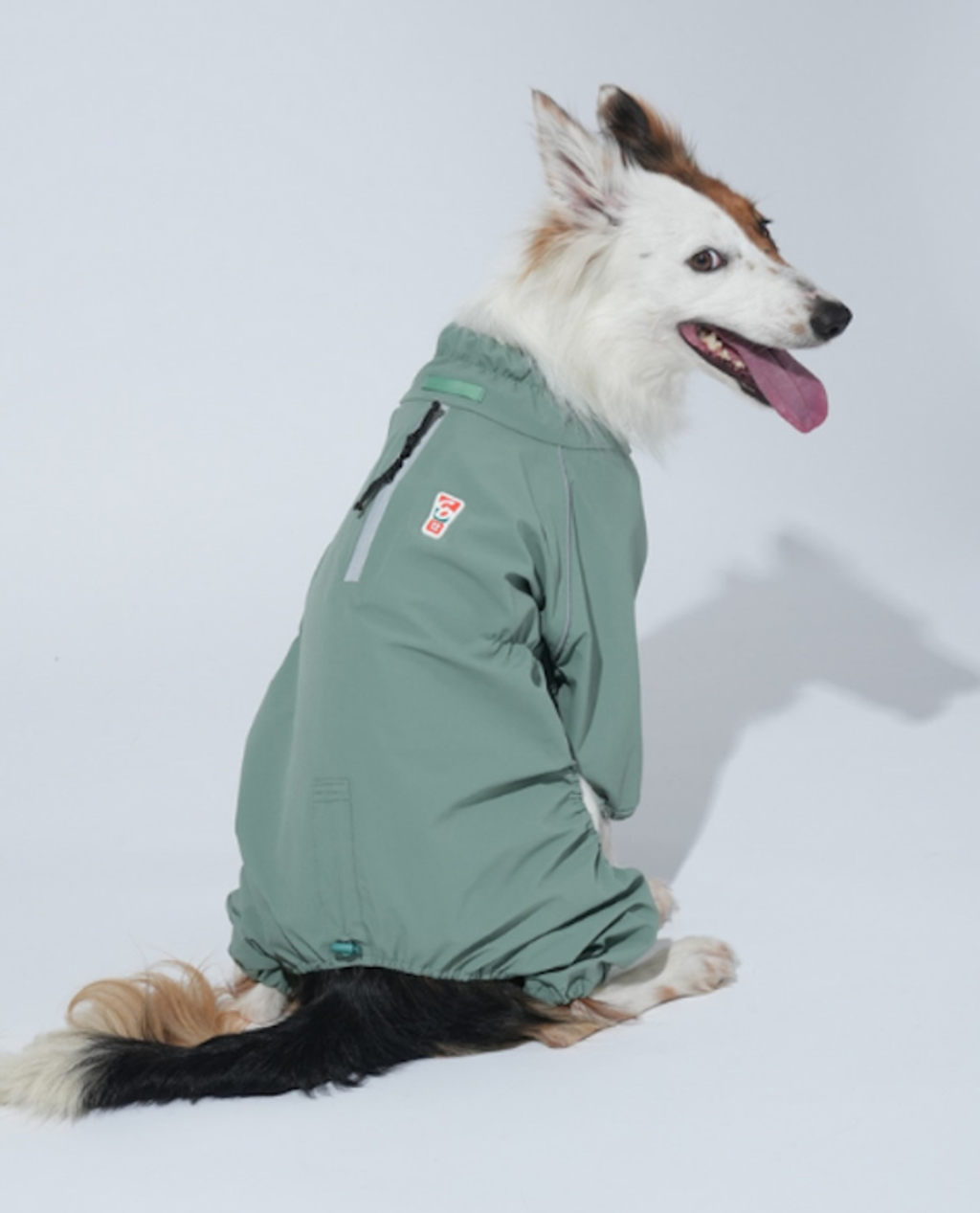 螢幕擷取畫面 2025-12-03 141004