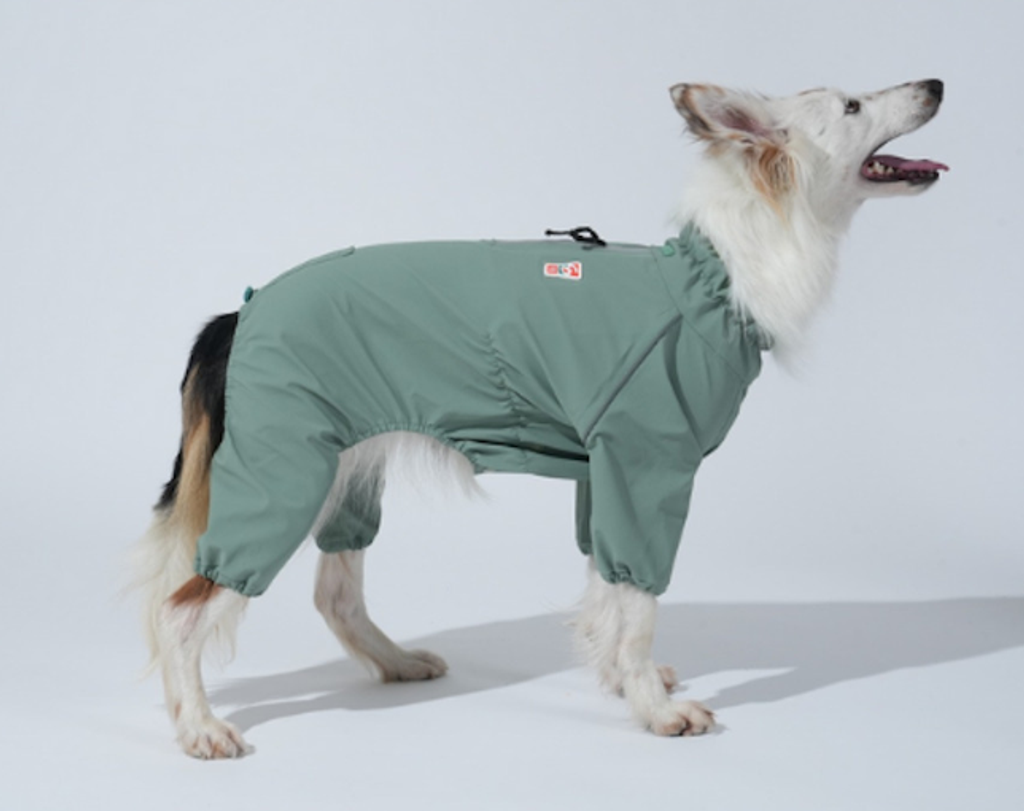 螢幕擷取畫面 2025-12-03 140952