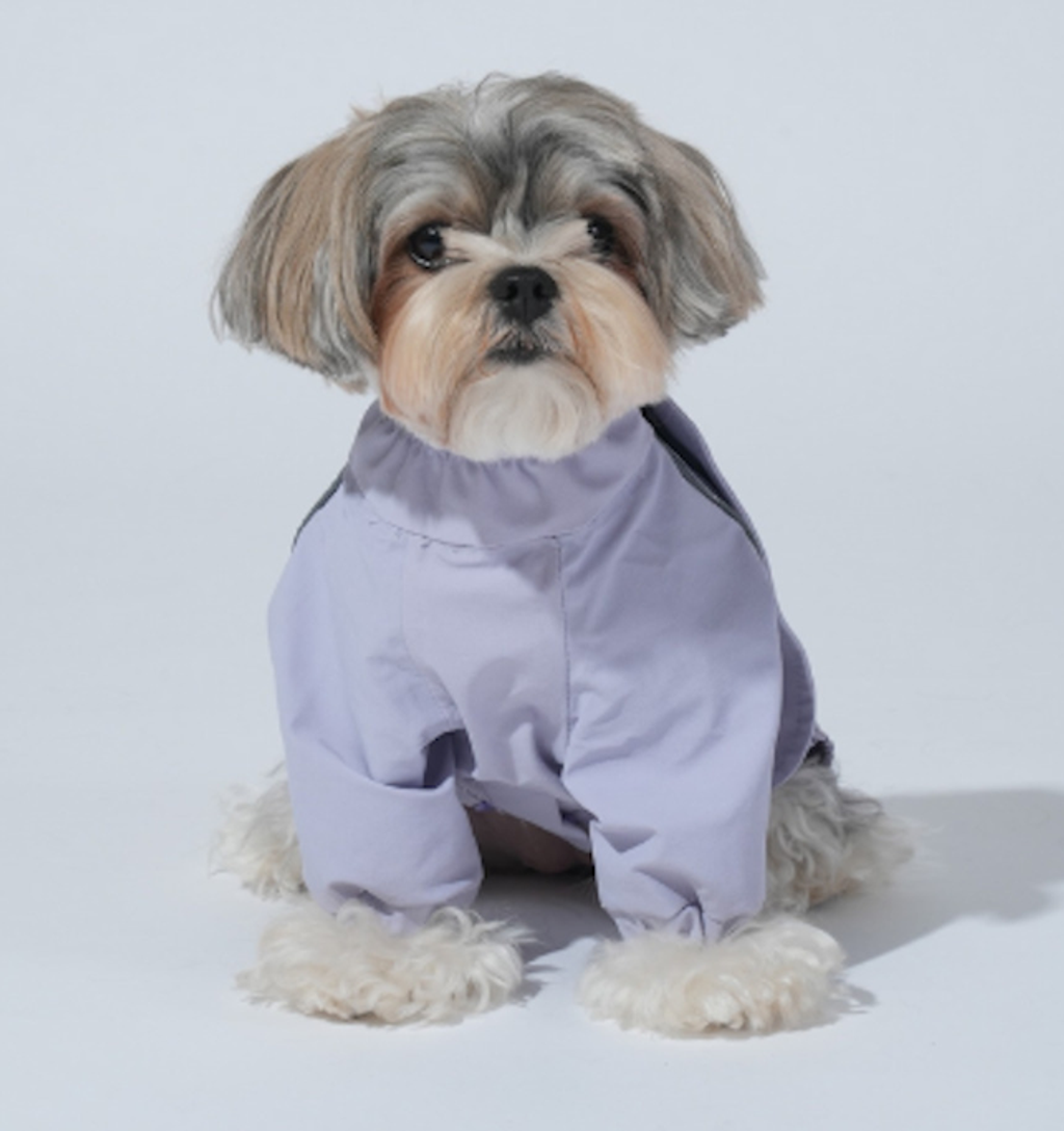 螢幕擷取畫面 2025-12-03 140934