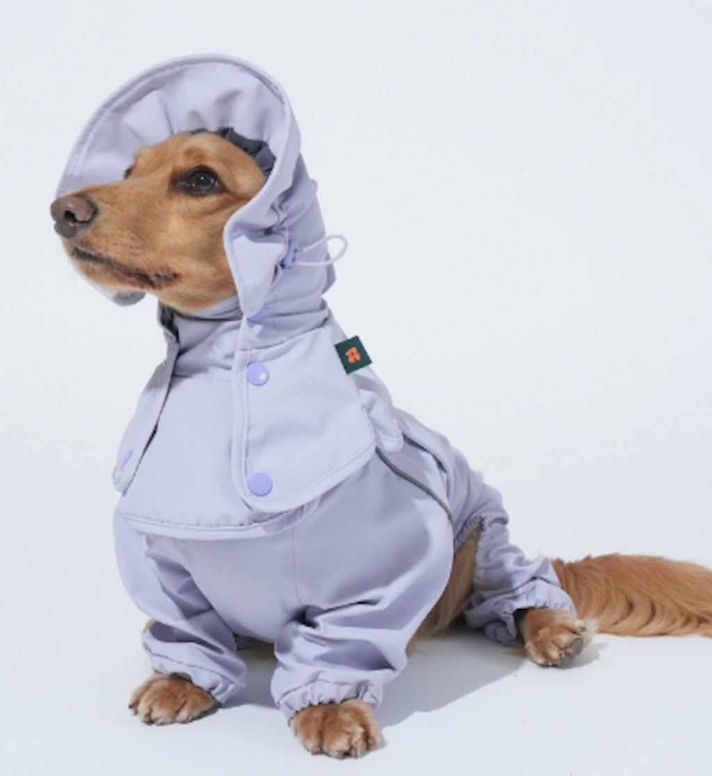 螢幕擷取畫面 2025-12-03 140912