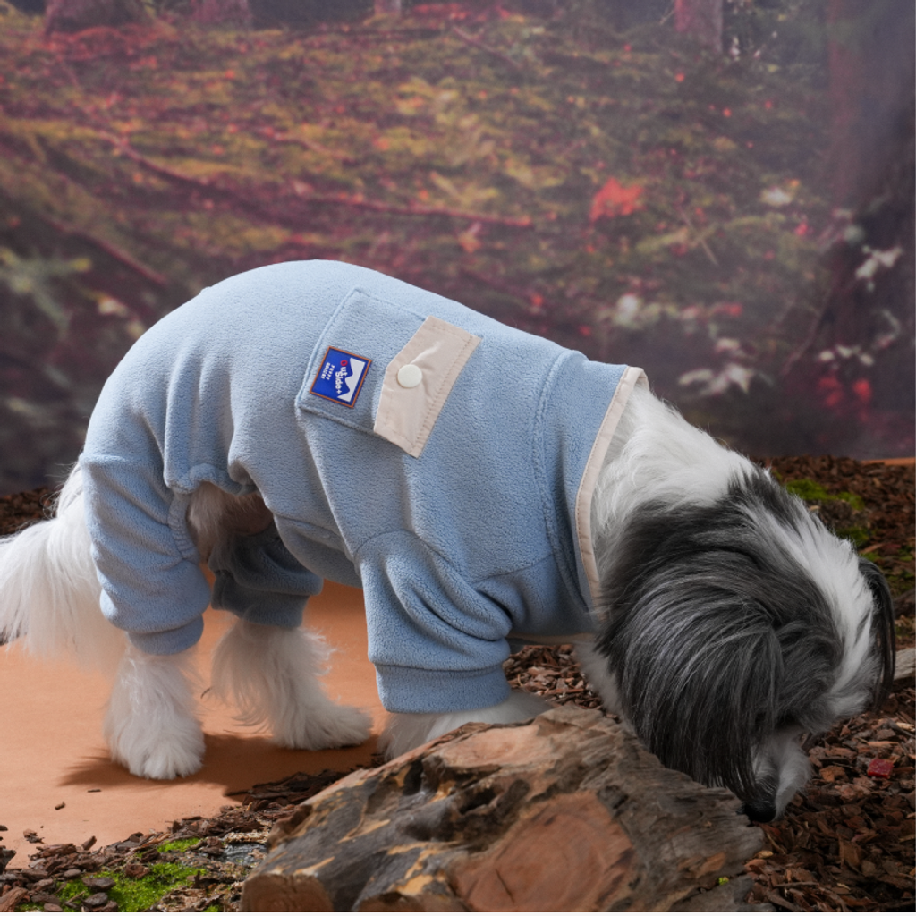 imgi_4_1757912347_452602