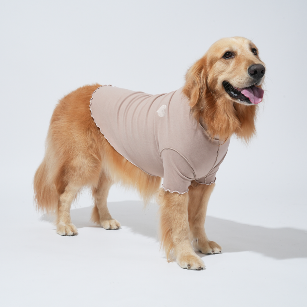 imgi_5_1757638070_516001