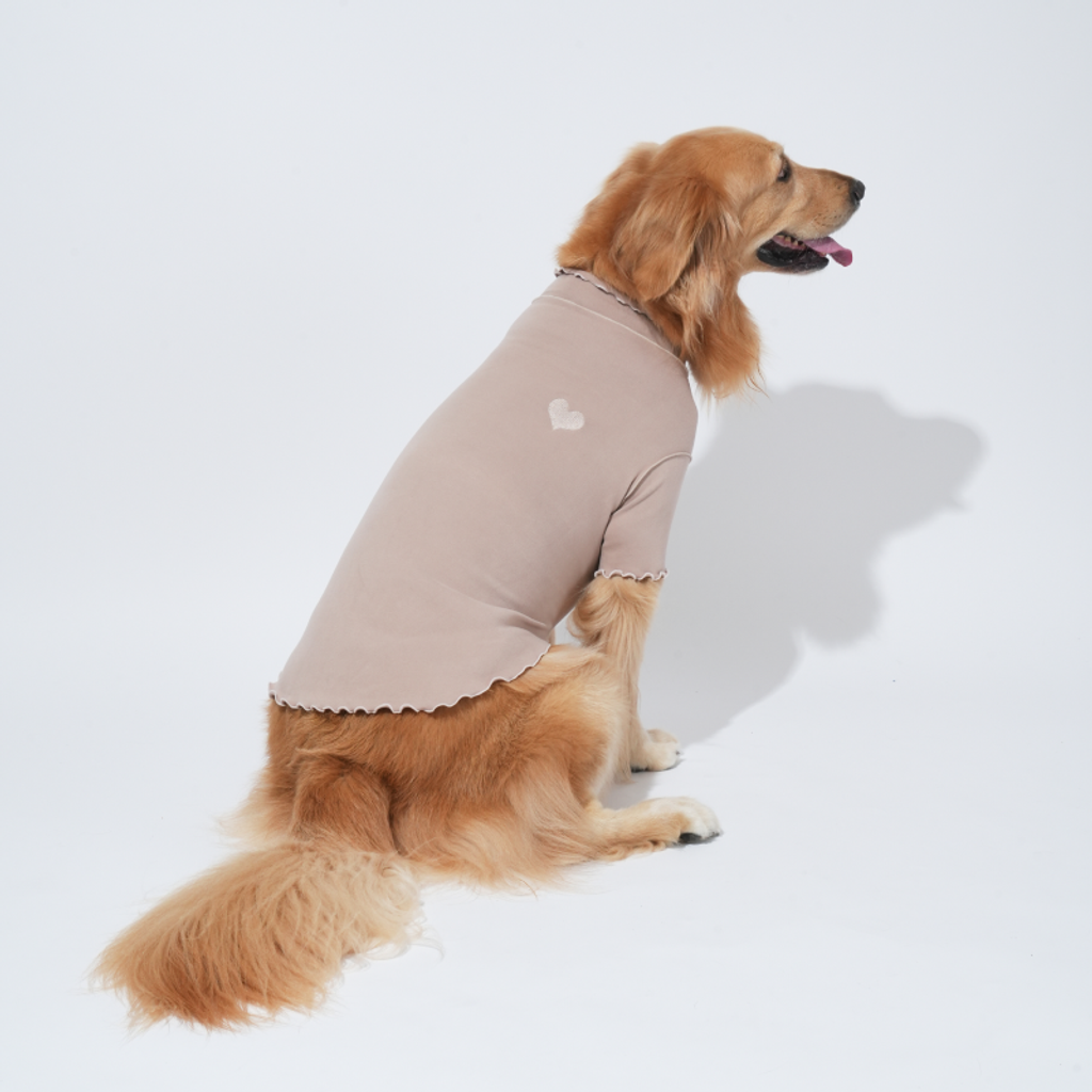 imgi_2_1756786106_142555