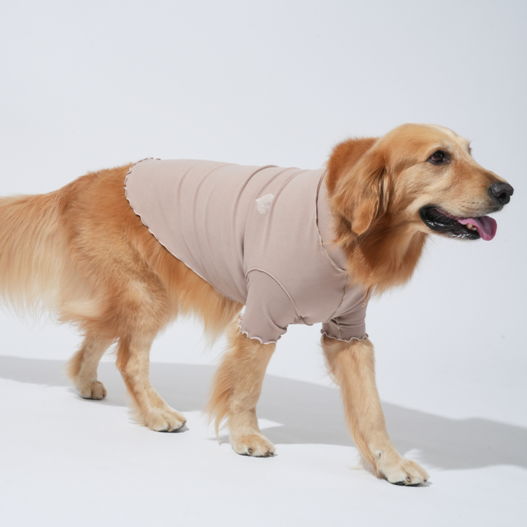 imgi_4_1756786106_538811