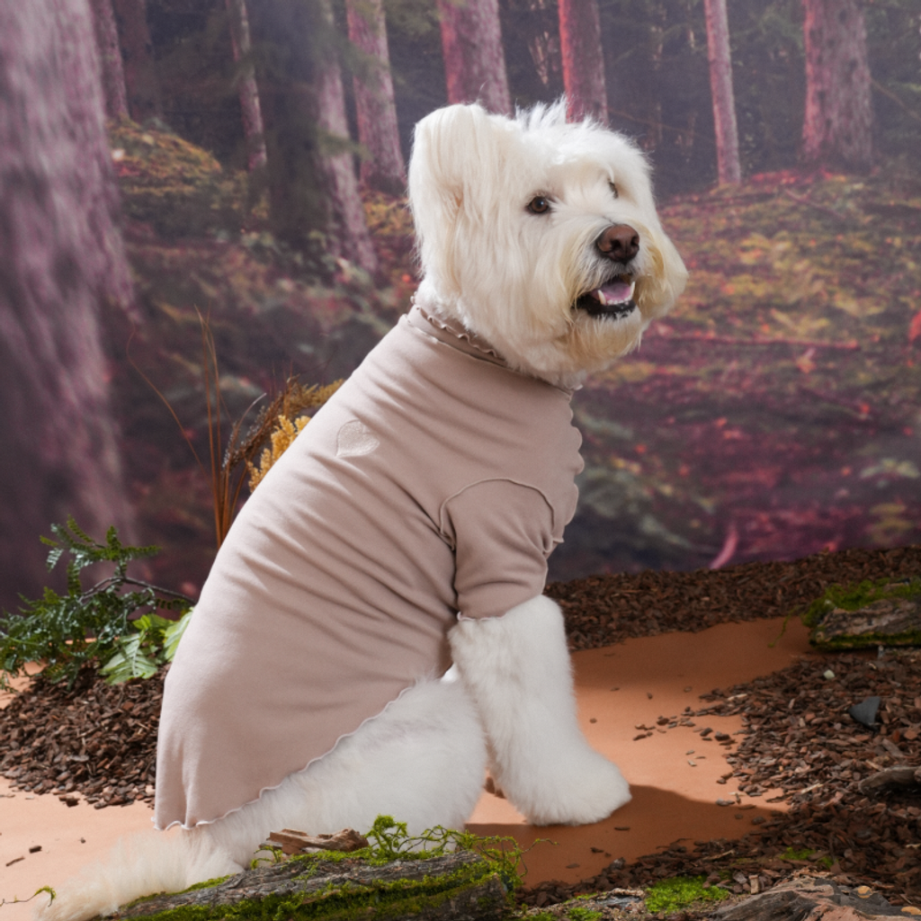 imgi_6_1756786106_527304