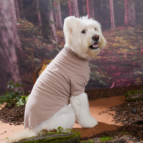 imgi_6_1756786106_527304