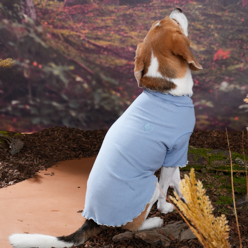 imgi_6_1756785721_124867