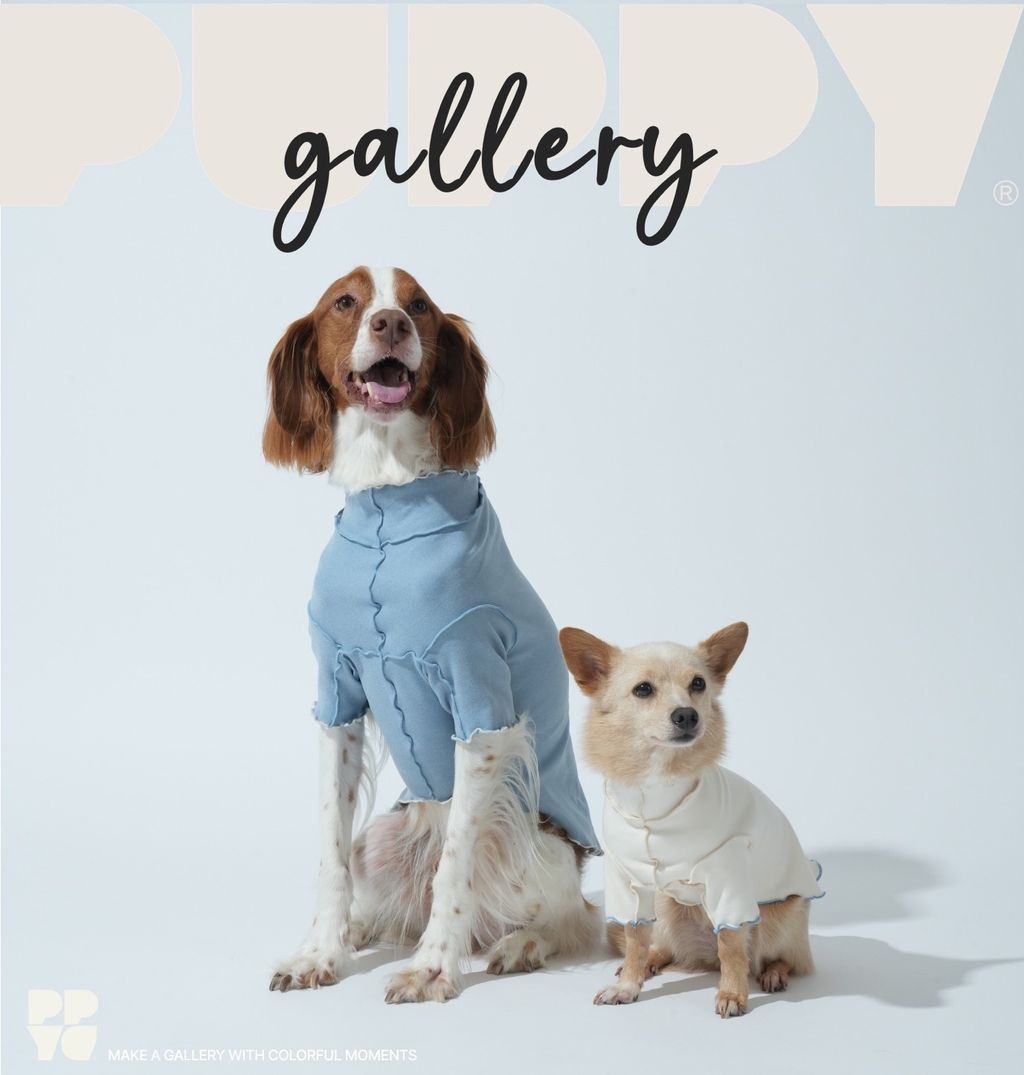 imgi_8_1756785727_950453