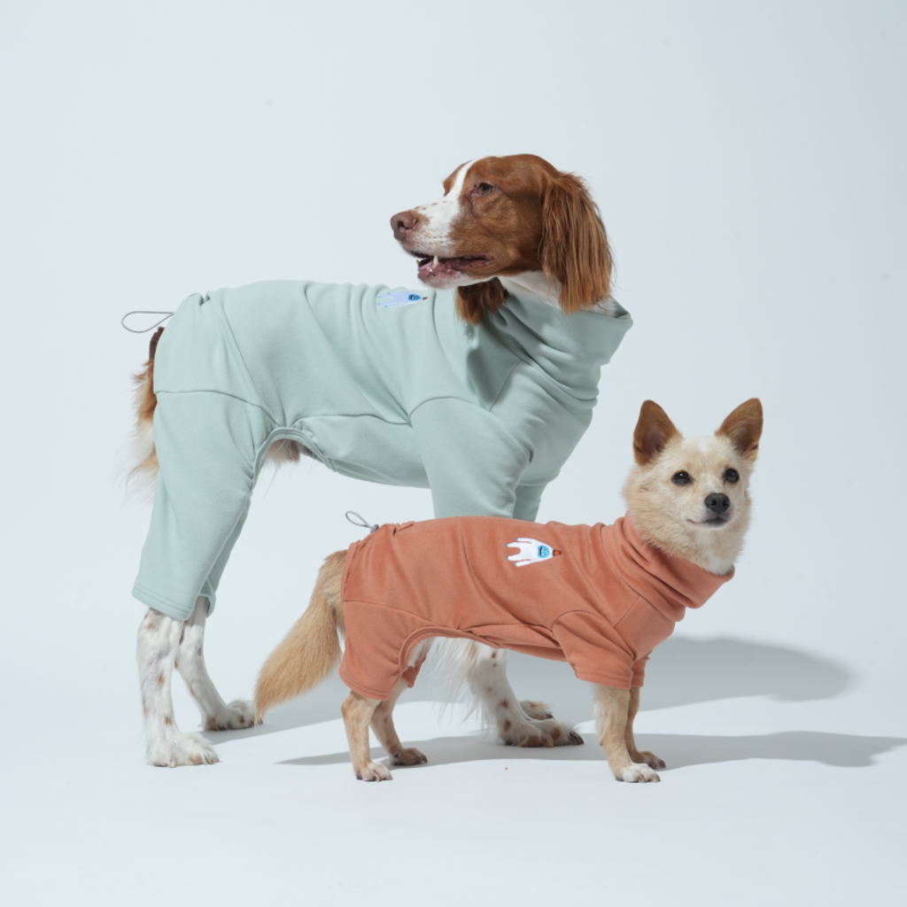 imgi_2_1757304403_447238