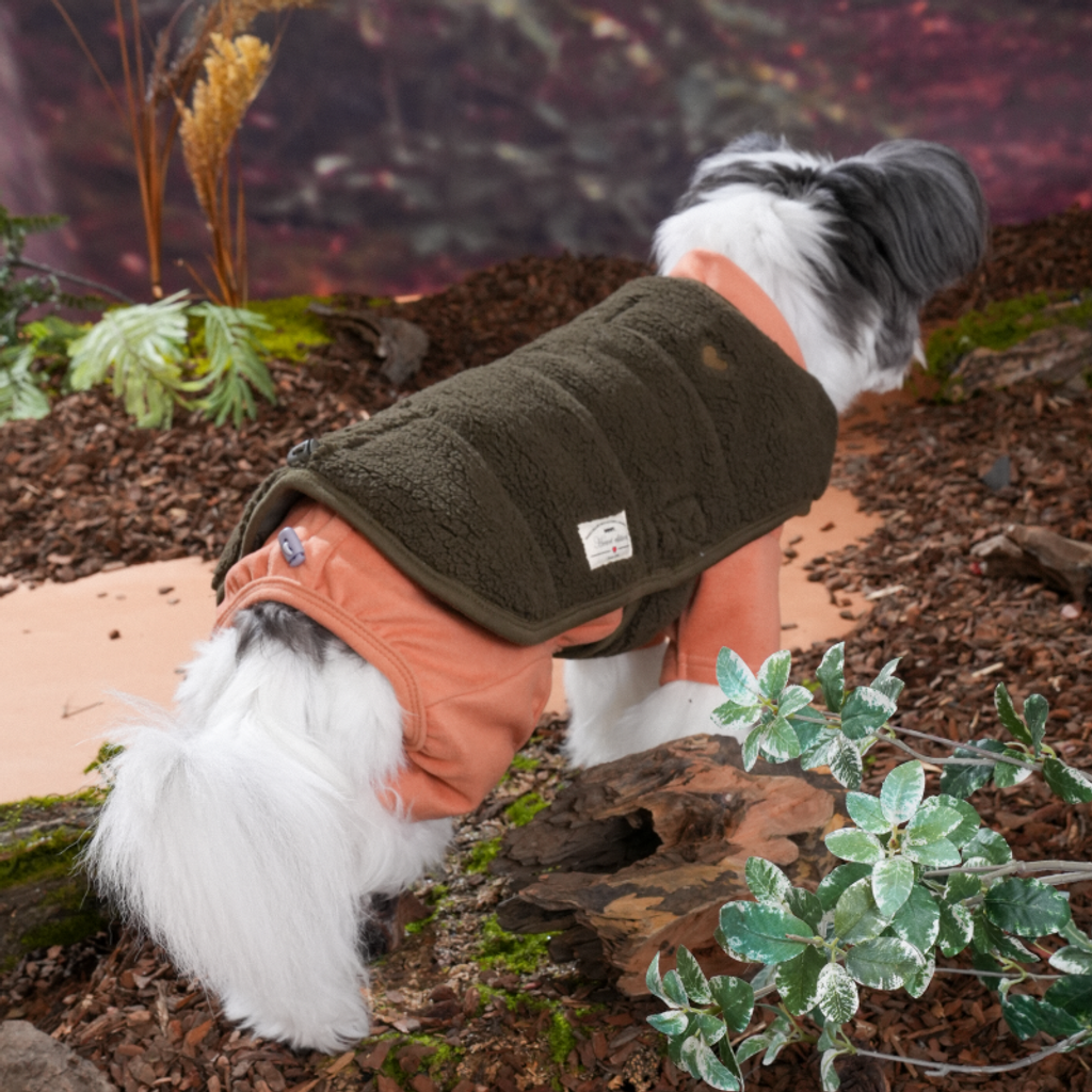 imgi_5_1757304403_571163