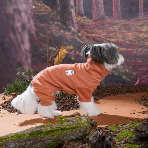 imgi_6_1757304403_814948