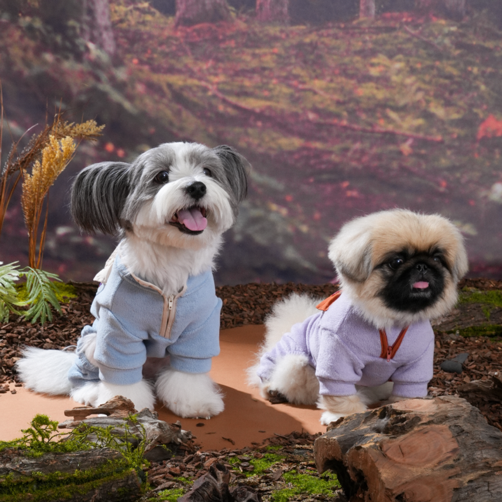 imgi_6_1757912319_405359