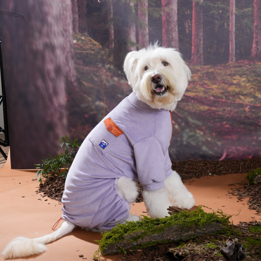 imgi_5_1757912319_638134