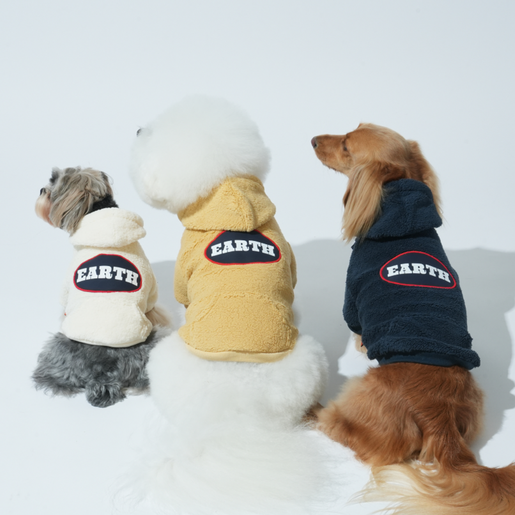 imgi_5_1758091293_286500