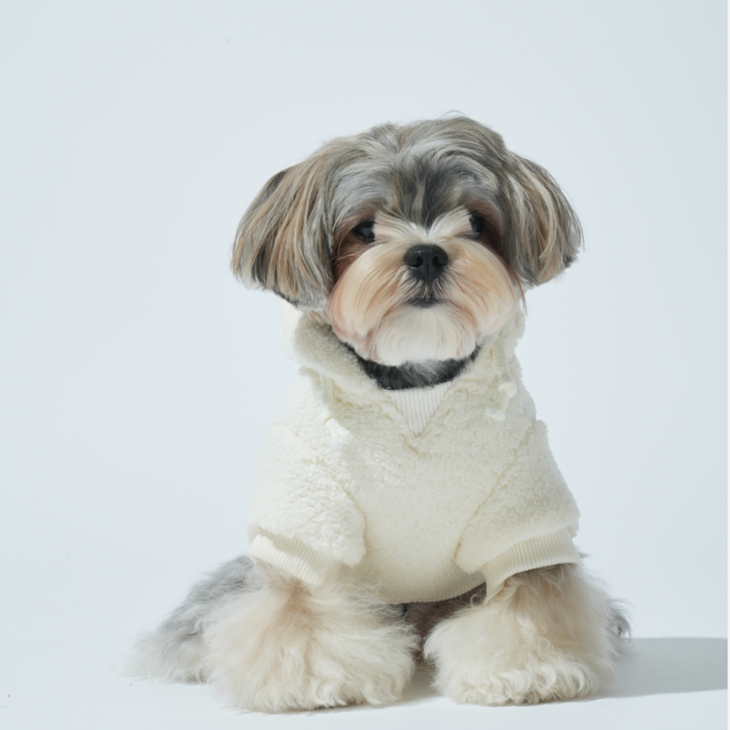 imgi_2_1758091293_821389