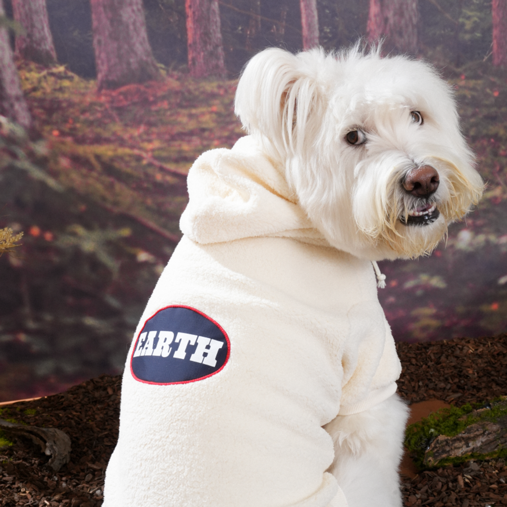 imgi_6_1758091293_247993