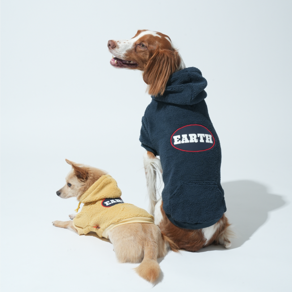 imgi_3_1758091317_538354