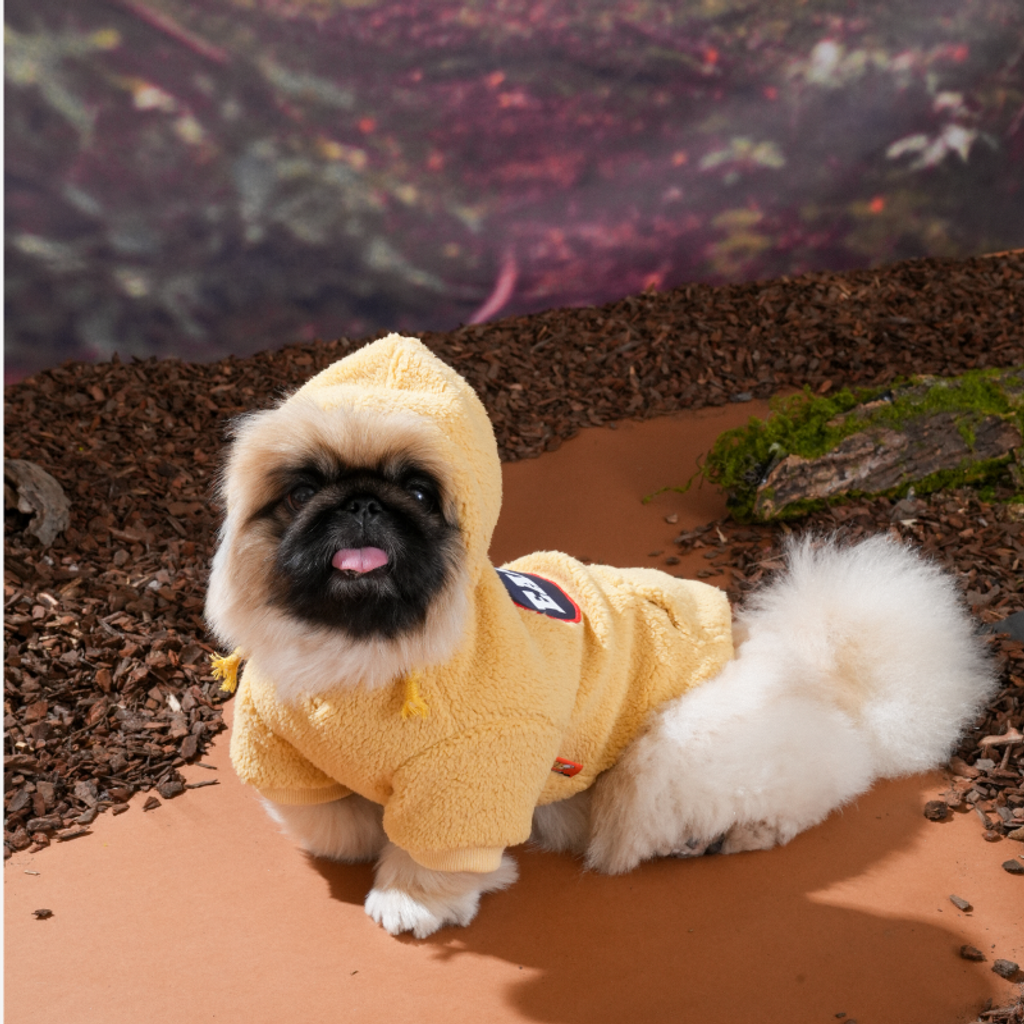 imgi_6_1758091317_578262