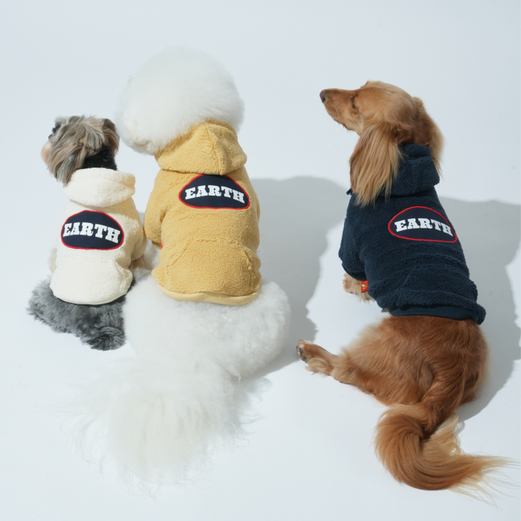 imgi_5_1758091317_631877