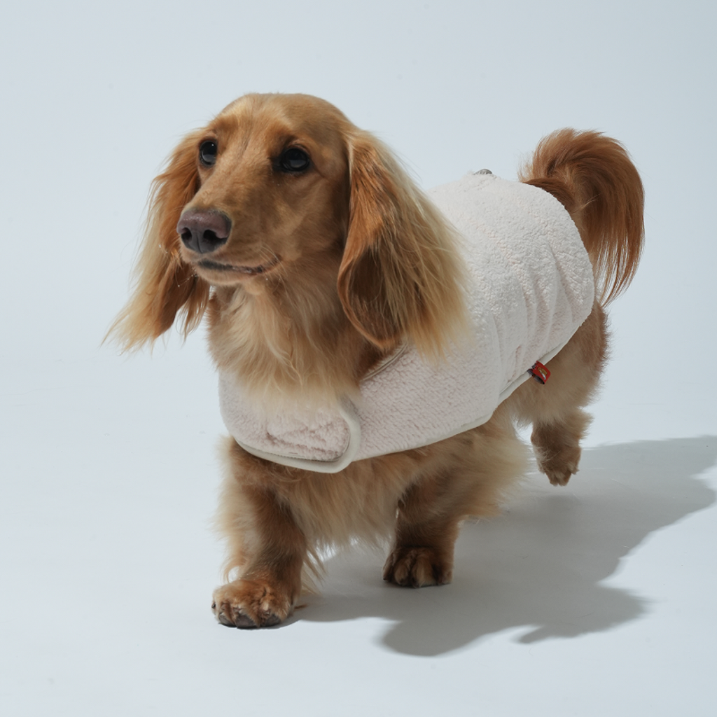 imgi_4_1759120796_522851