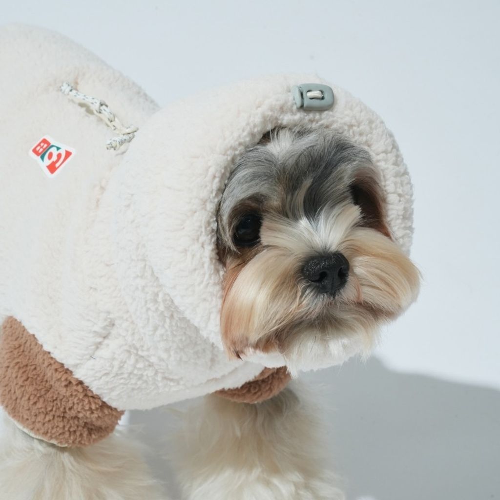 imgi_3_1758680776_551825