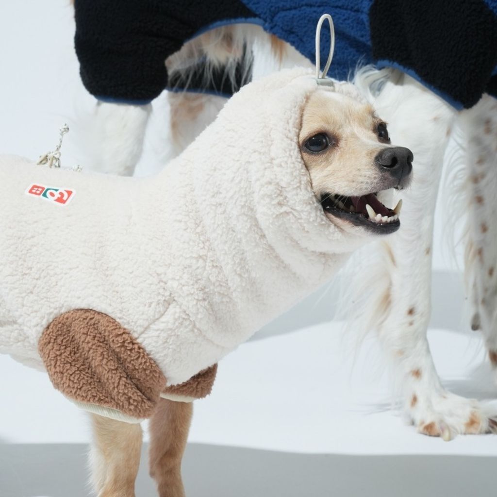 imgi_4_1758680776_607730