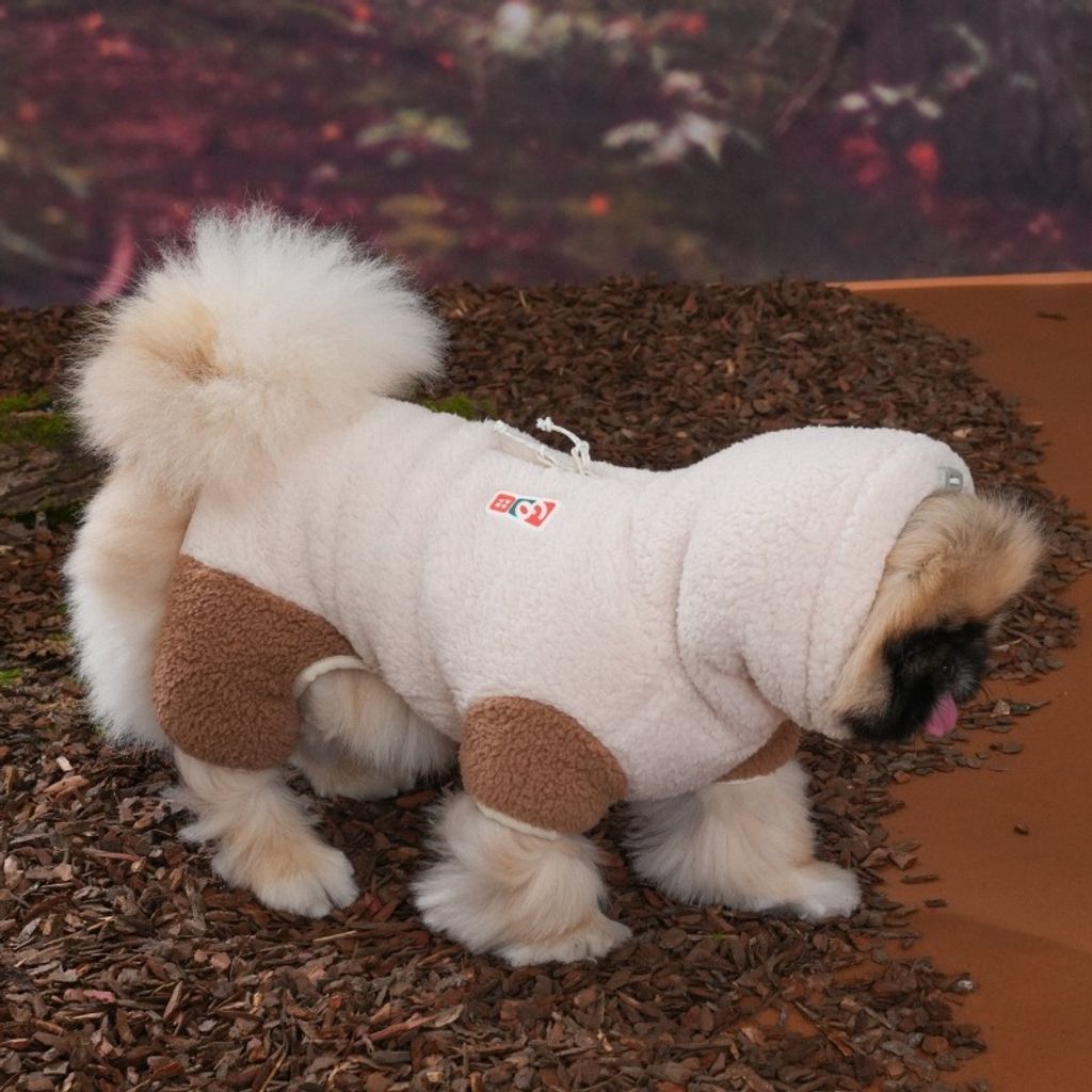 imgi_5_1758680776_784883