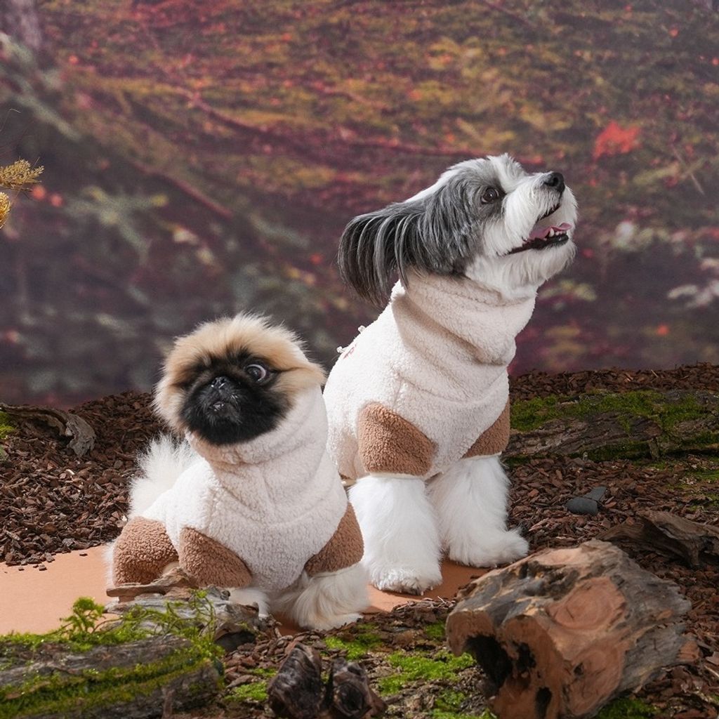 imgi_6_1758680776_954813