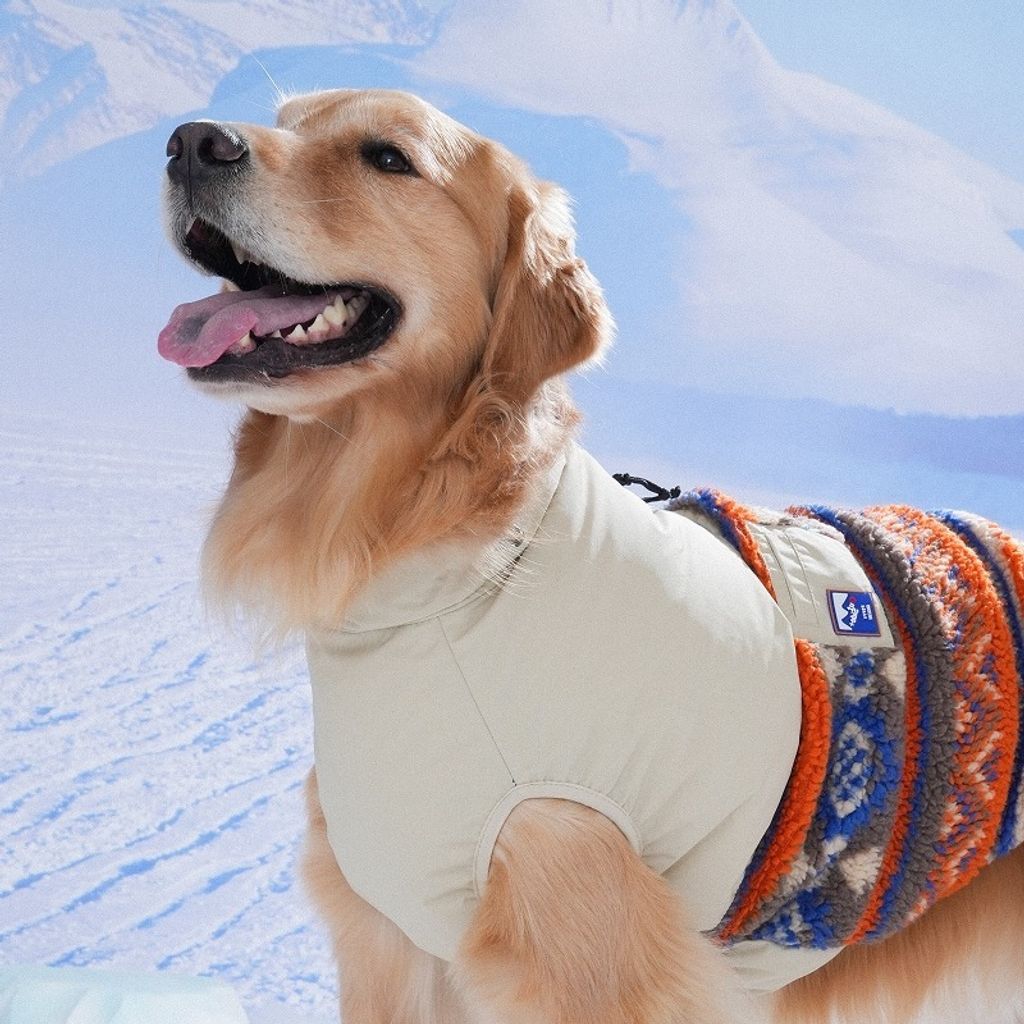 imgi_6_1761281474_253241