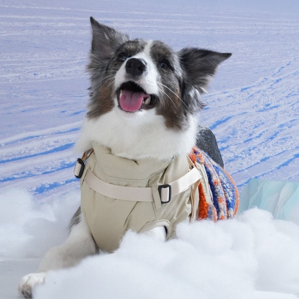 imgi_5_1761281474_918172