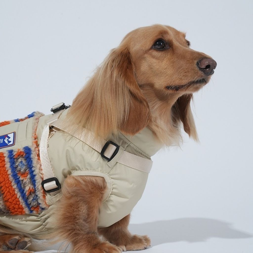 imgi_3_1761281474_478055