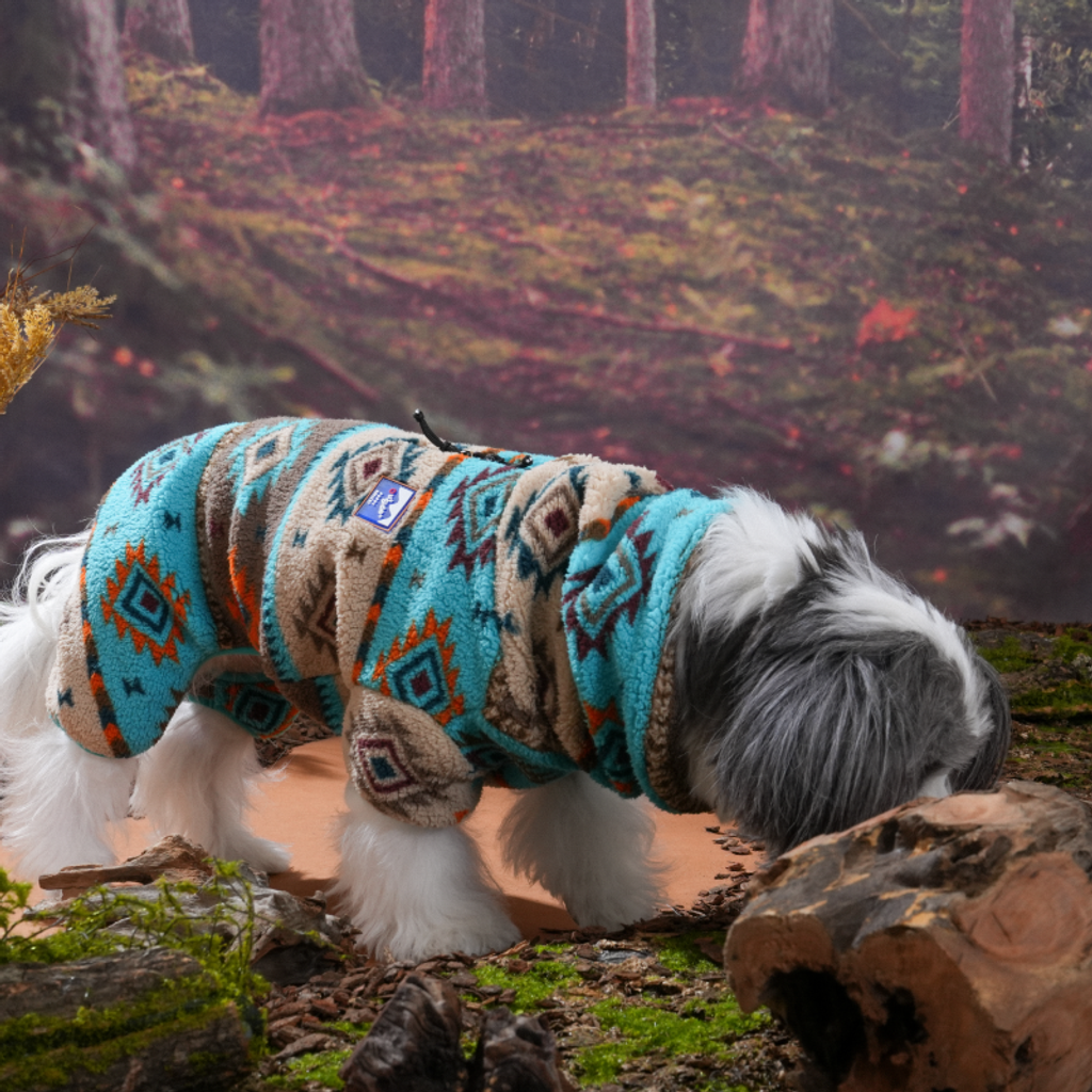 imgi_6_1758001492_109955