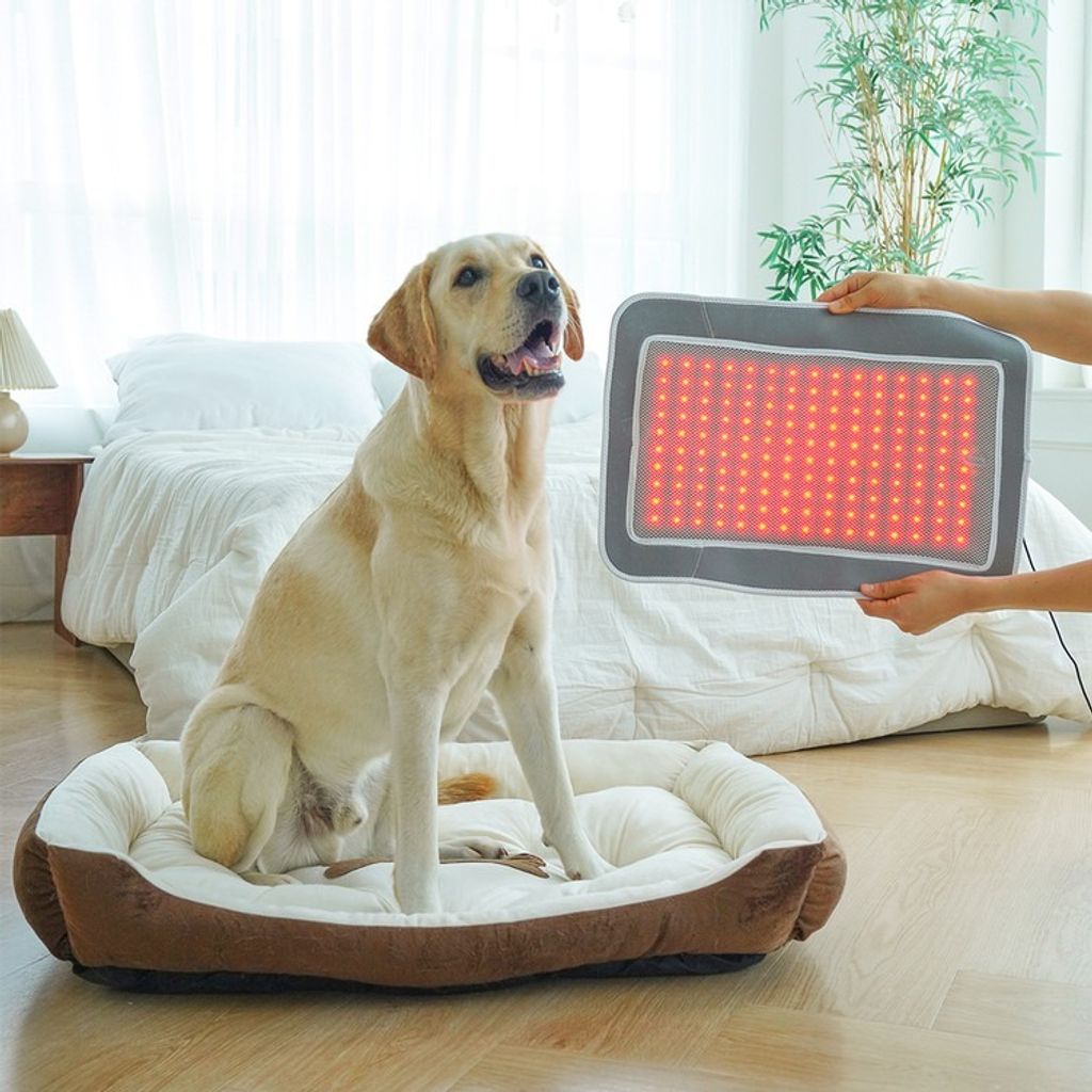 imgi_6_7ce54983beee2