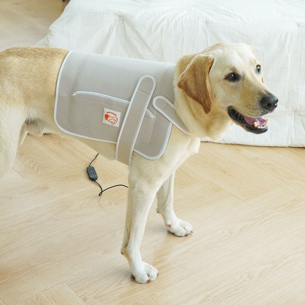 imgi_7_2fa3dae489bc3