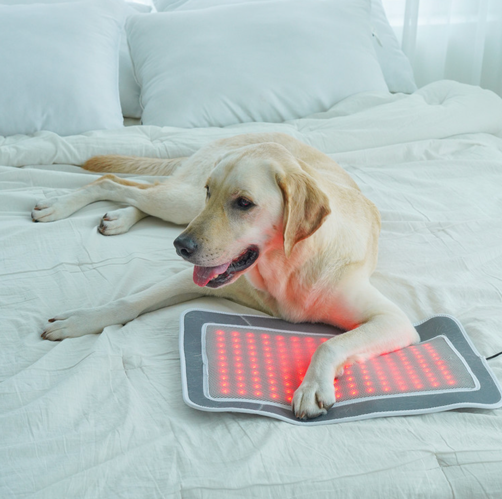 截圖 2025-12-22 下午4.09.11