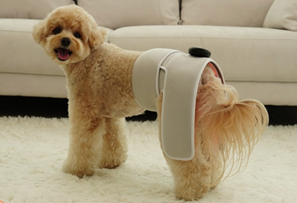 截圖 2025-12-22 下午4.18.09