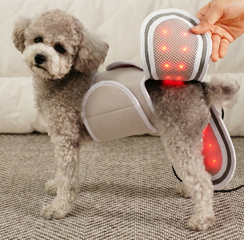 Gemini_Generated_Image_erjxr0erjxr0erjx