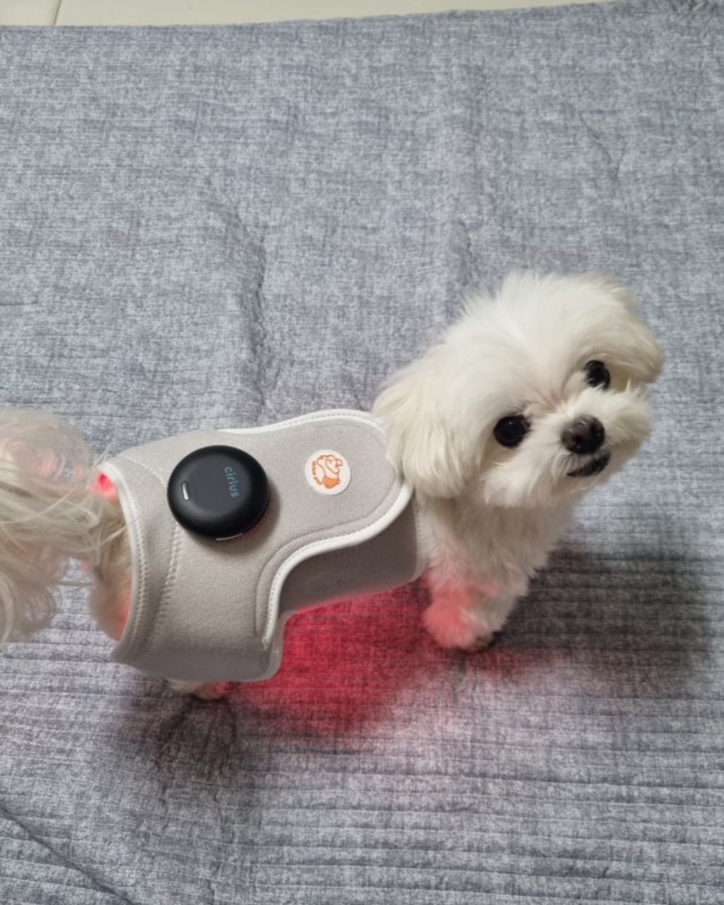 截圖 2025-12-22 下午4.12.04