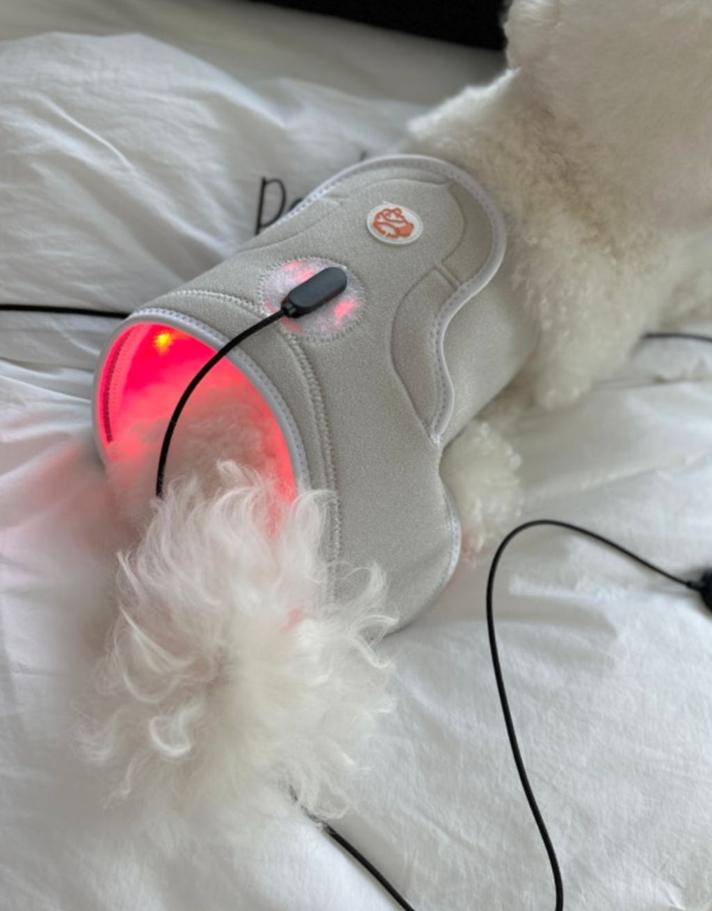 截圖 2025-12-22 下午4.10.19