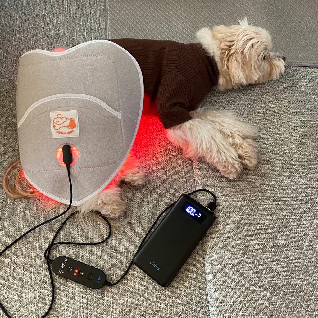 截圖 2025-12-22 下午4.15.55