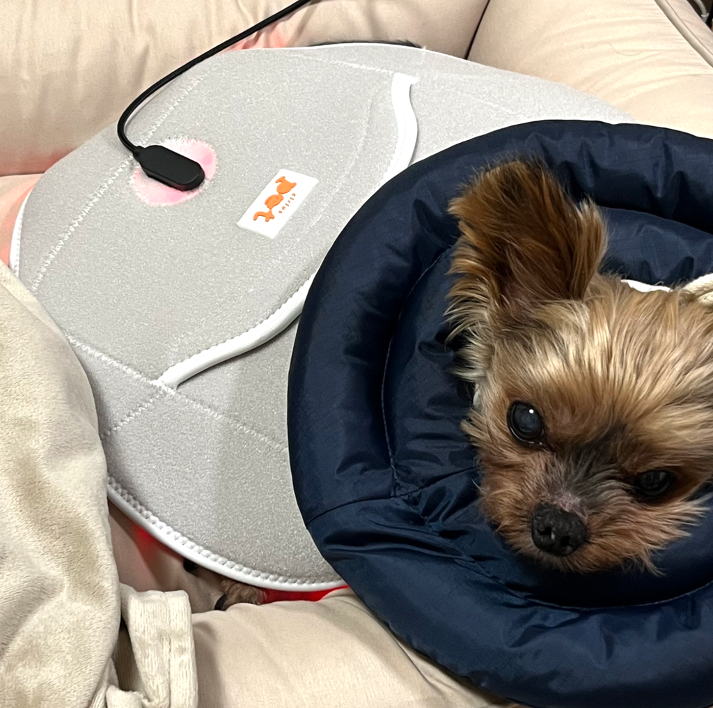 截圖 2025-12-22 下午4.15.44