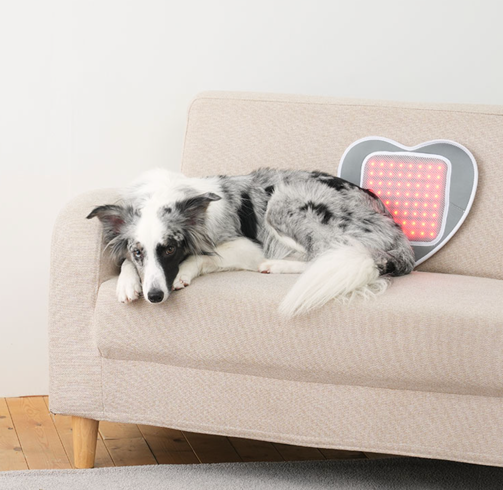 截圖 2025-12-22 下午4.15.20