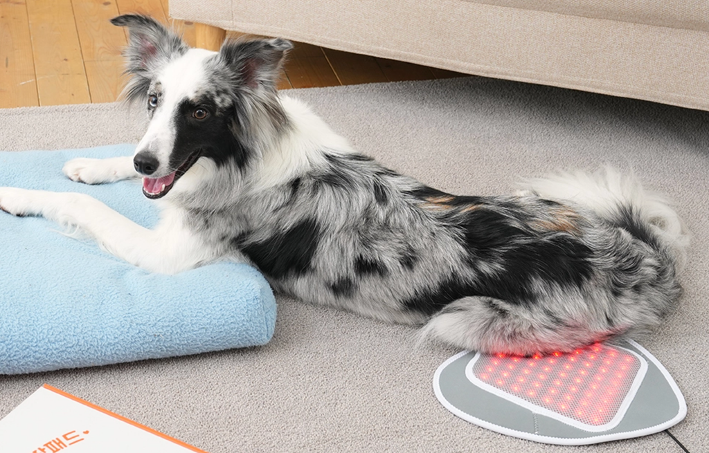 截圖 2025-12-22 下午4.19.50